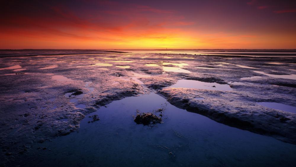 Sunset Panorama over Tranquil Tidal Flats at Dusk wallpaper