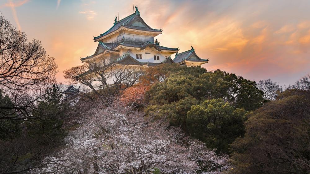 Osaka Castle at Sunrise Serenity wallpaper
