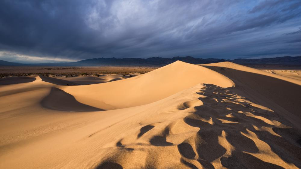 Golden Waves of the Sahara Desert wallpaper