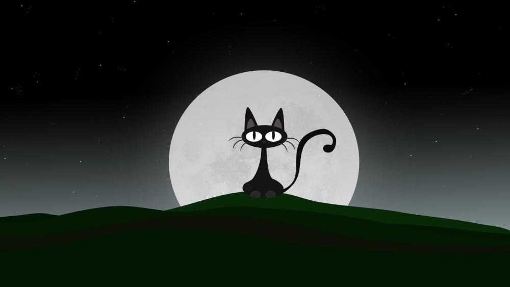 Silly Black Cat Under the Moonlit Sky wallpaper