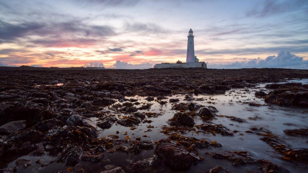 Stunning Sunset Over St Mary's Lighthouse wallpaper