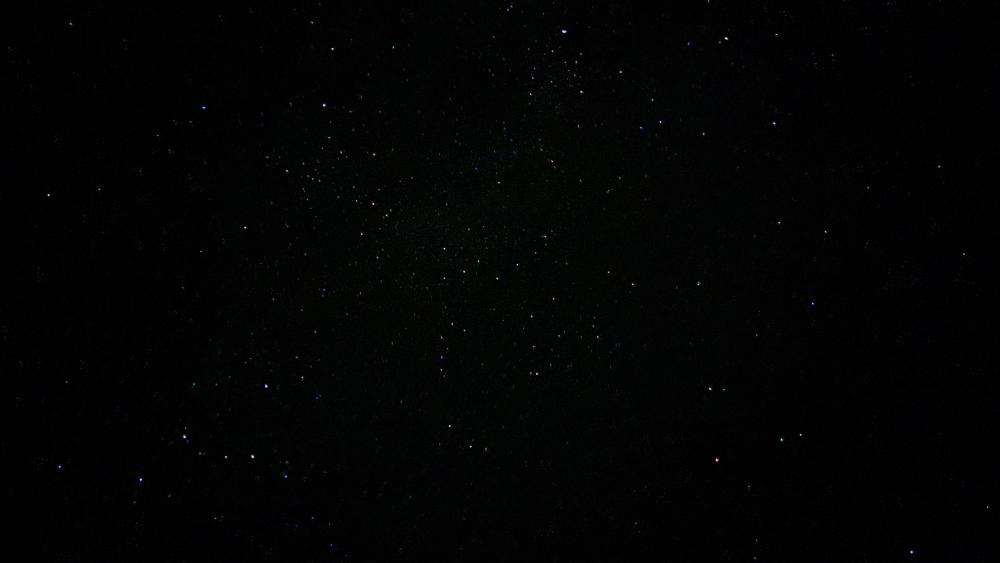 Colourful stars scattered across the darkness of the black sky behind them. wallpaper