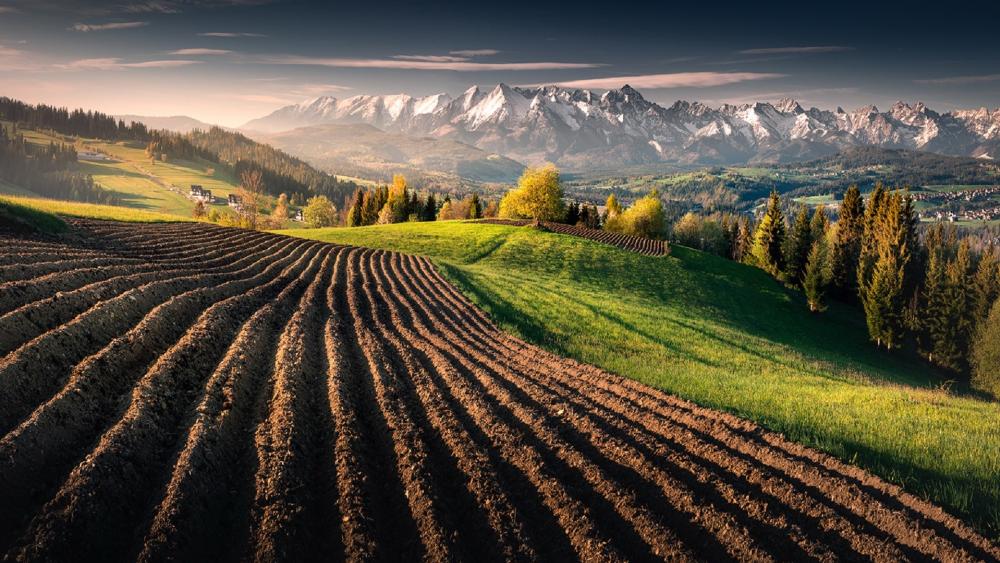 Majestic Springtime in the High Tatras wallpaper