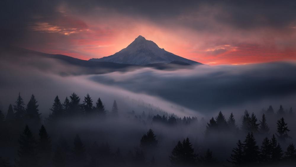 Twilight Majesty Enshrouded in Mist wallpaper