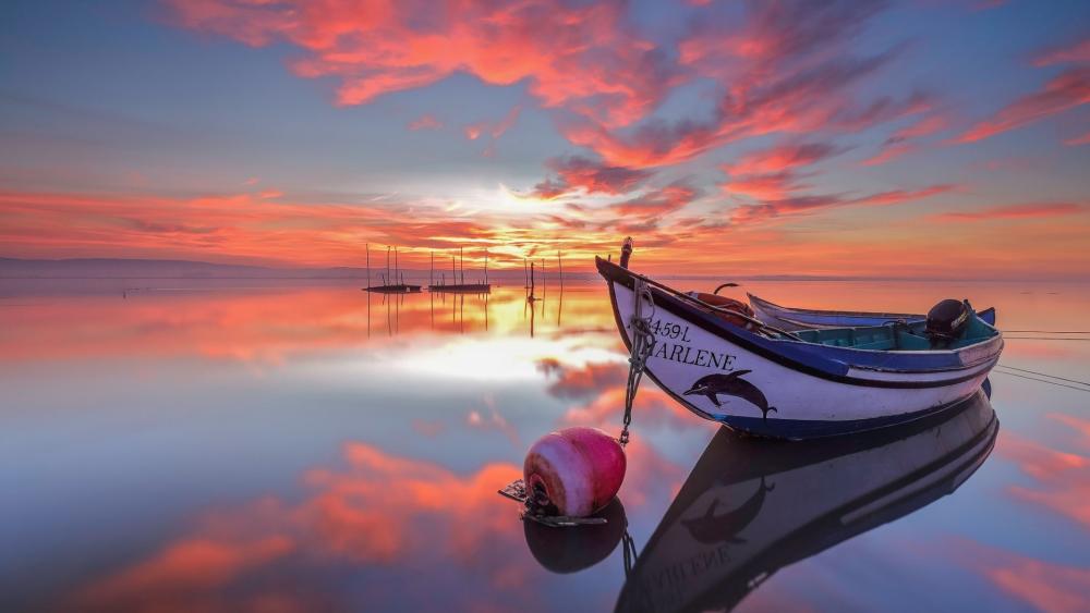 Tranquil Evening on a Serene Lake wallpaper