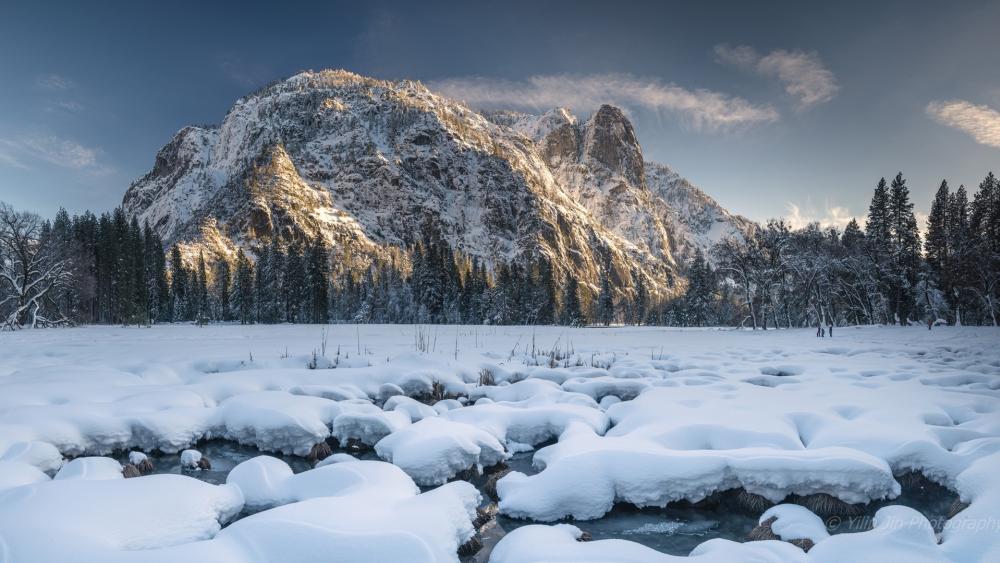 Yosemite's Winter Wonderland in Sierra Nevada wallpaper