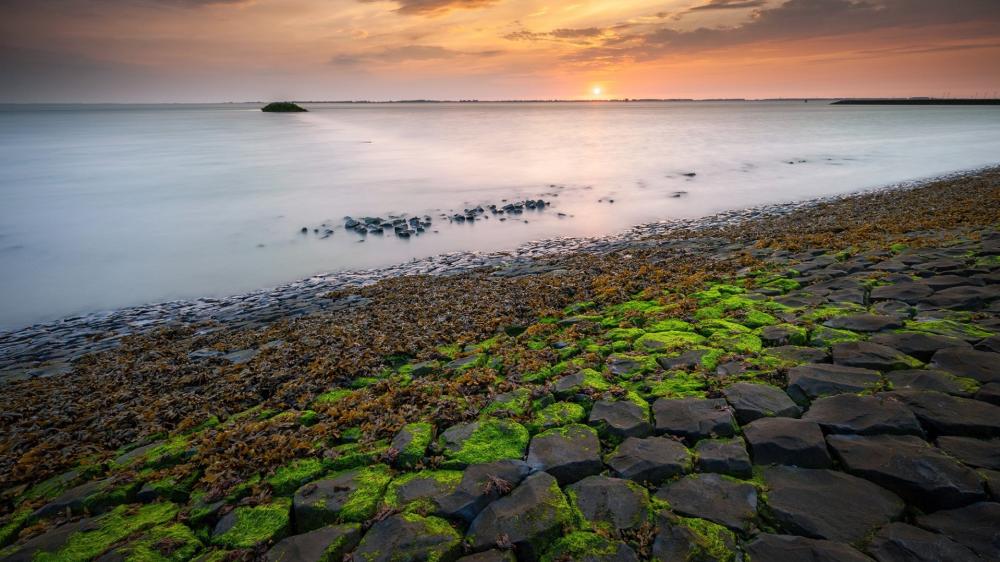 Giant's Causeway at Sunset Serenity wallpaper