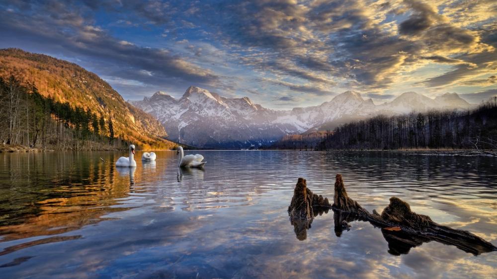 Serene Beauty of Almsee Lake in Austria wallpaper