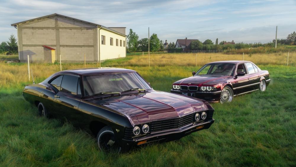 Classic Muscle Meets Modern Elegance wallpaper