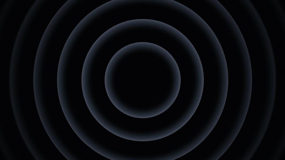 Concentric circles in Monochrome Design wallpaper
