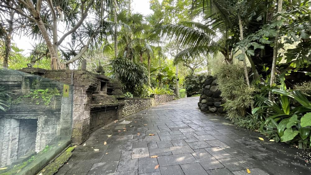 Serene Pathway Through a Lush Urban Oasis wallpaper