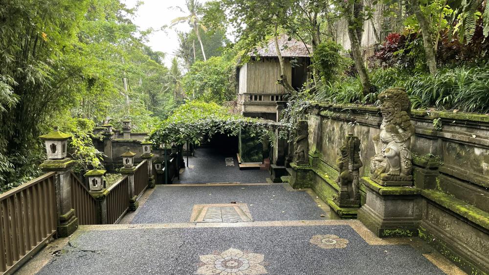 Tranquil Pathway Through Lush City Garden wallpaper