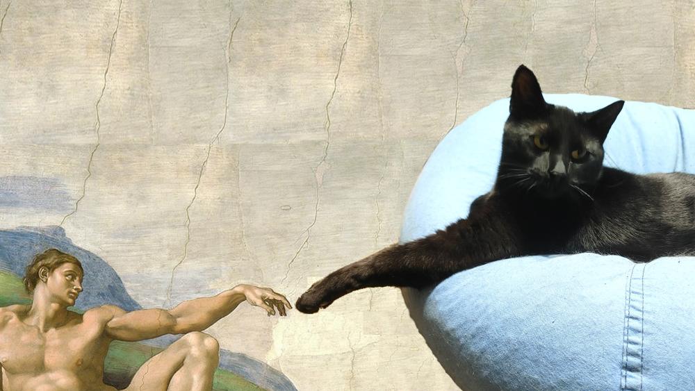 Michelangelo's Creation of Cat Meme with Humor Magic wallpaper