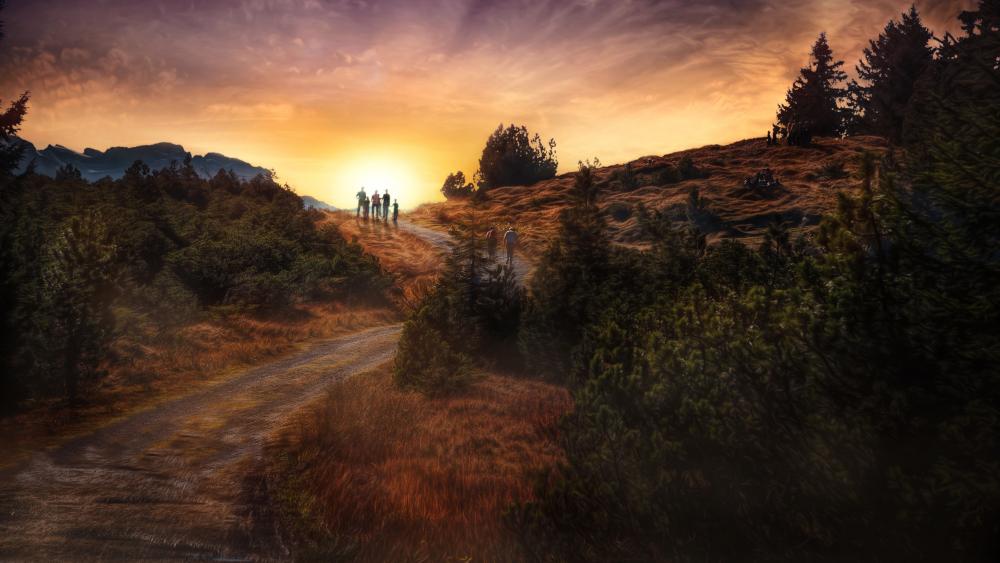 Sunset Stroll Through Serene Trails wallpaper