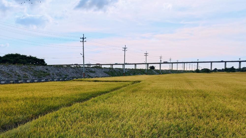 High Class Highway Landscape wallpaper