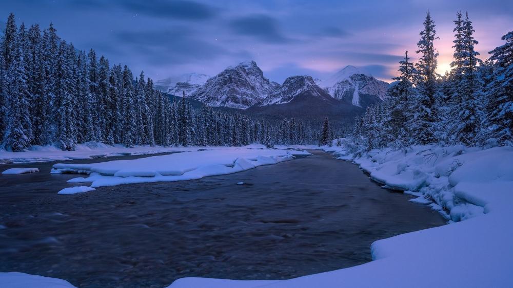 Winter Serenity at Morant's Curve Alberta wallpaper