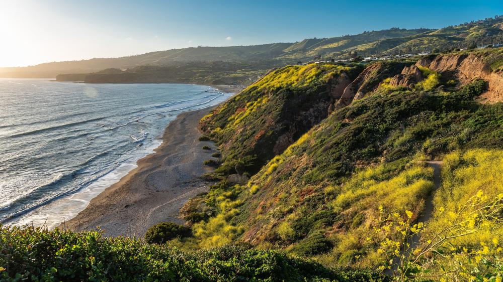 Coastal Beauty on the Pacific Highway California wallpaper