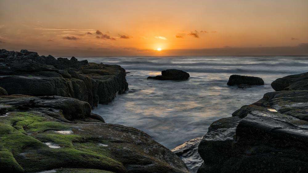 Evening Tranquility by the Ocean Shore wallpaper