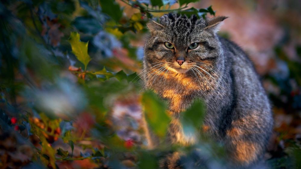 Fierce Gaze Among the Foliage wallpaper