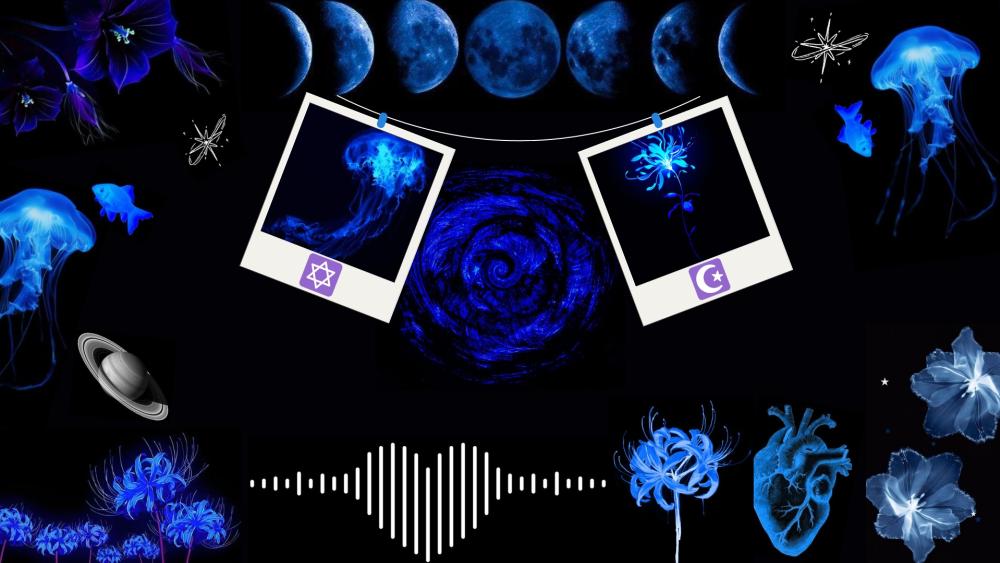 Midnight Aesthetic Vibes in Black and Blue wallpaper