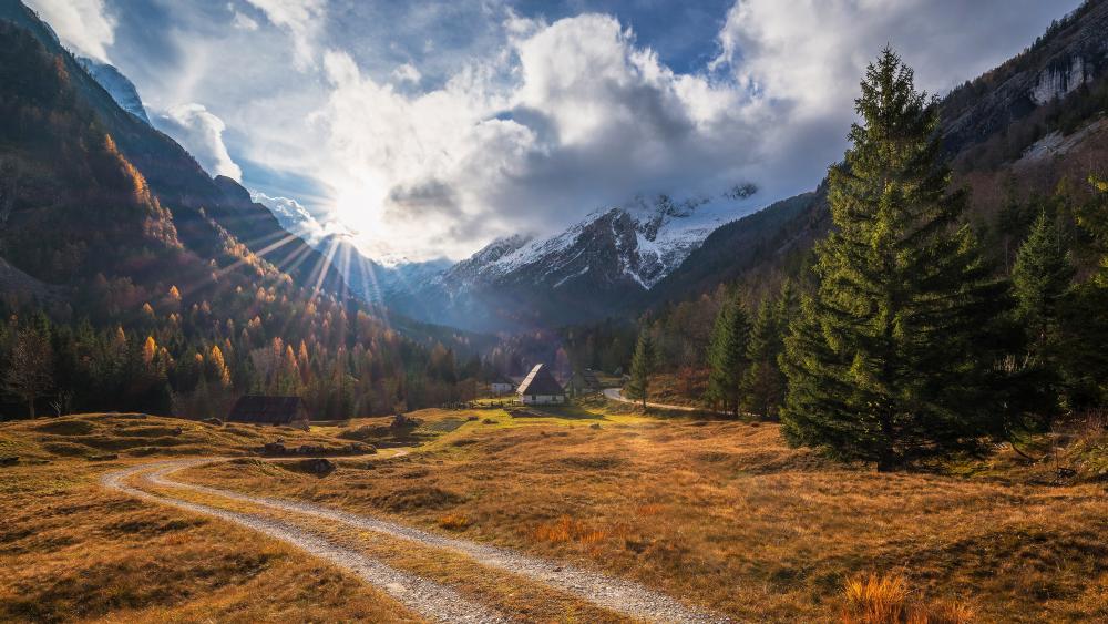 Sunlit Valley Serenity with Majestic Mountains and Lush Forest wallpaper