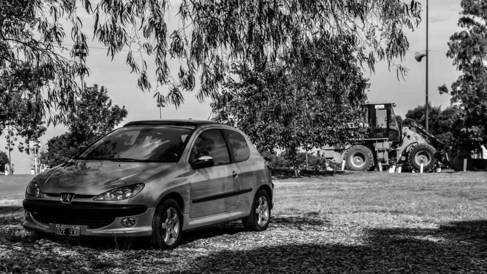 Black and White Elegance Peugeot 206 in Nature wallpaper