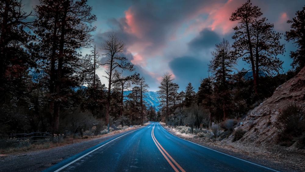 Road Through the Enchanted Woods wallpaper