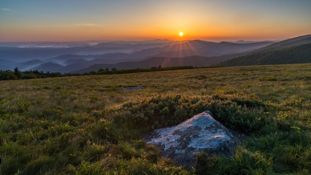 Sunrise Over Roan Mountain's Rolling Grasslands wallpaper