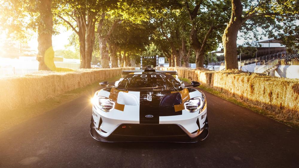 2019 Ford GT MK II Sports Car wallpaper