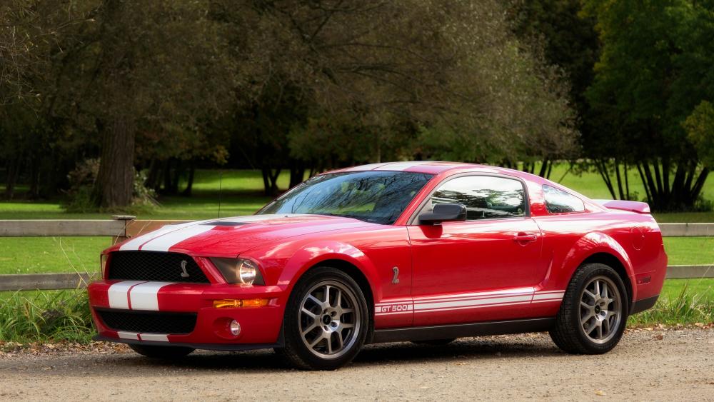 2007 Ford Shelby GT500 wallpaper