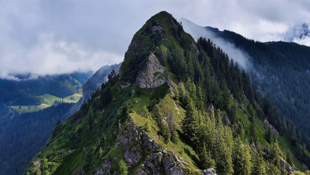 Mountain Majesty Surrounded by Mist wallpaper