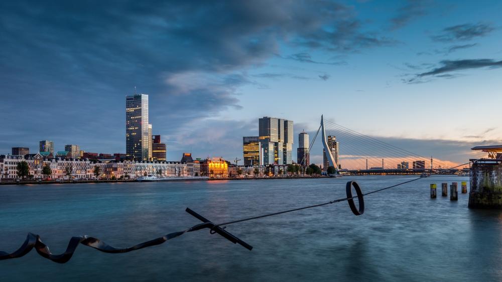 Erasmusbrug at Dawn in Rotterdam Netherlands wallpaper