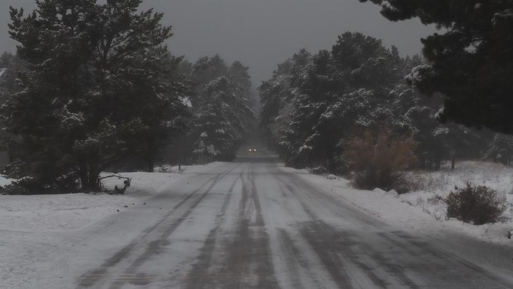 Winter forest road wallpaper