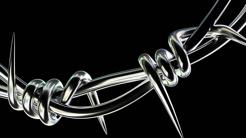 Barbed Beauty in Monochrome wallpaper