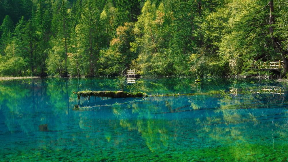 Five Flower Lake, Jiuzhaigou Valley wallpaper