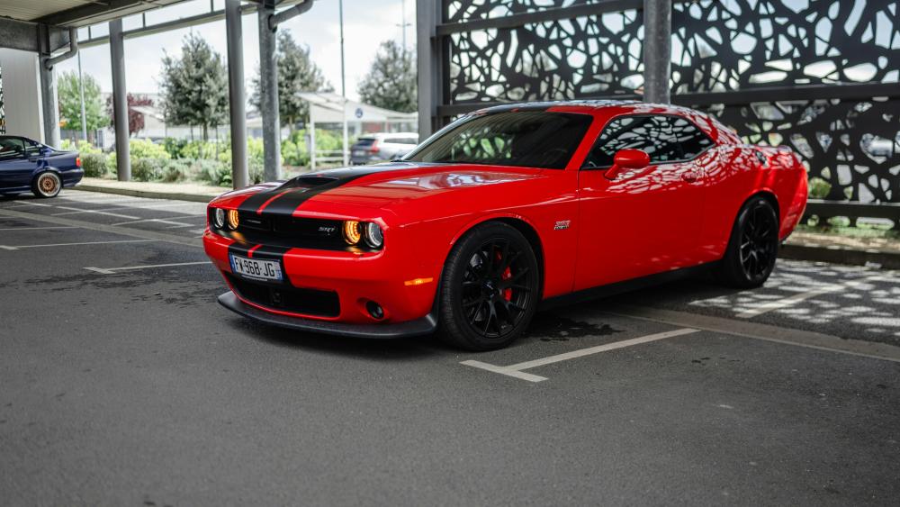 Dodge Challenger SRT 2019 in Brilliant Red wallpaper