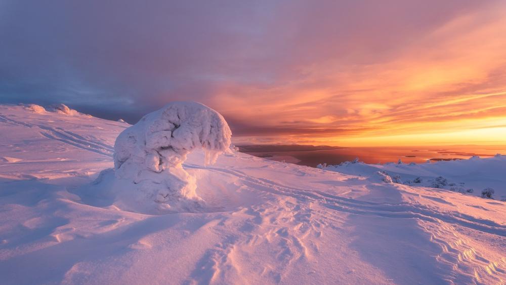Winter Serenity at Dawn wallpaper