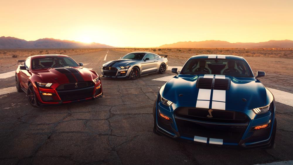 2020 Shelby GT500 Sunset Elegance wallpaper