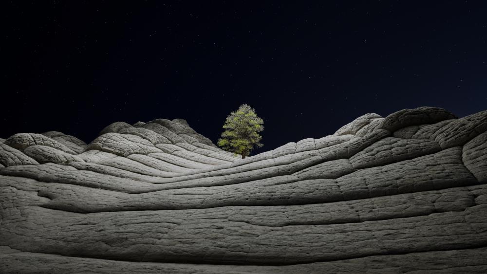 Solitary Tree Under a Starry Night Sky wallpaper