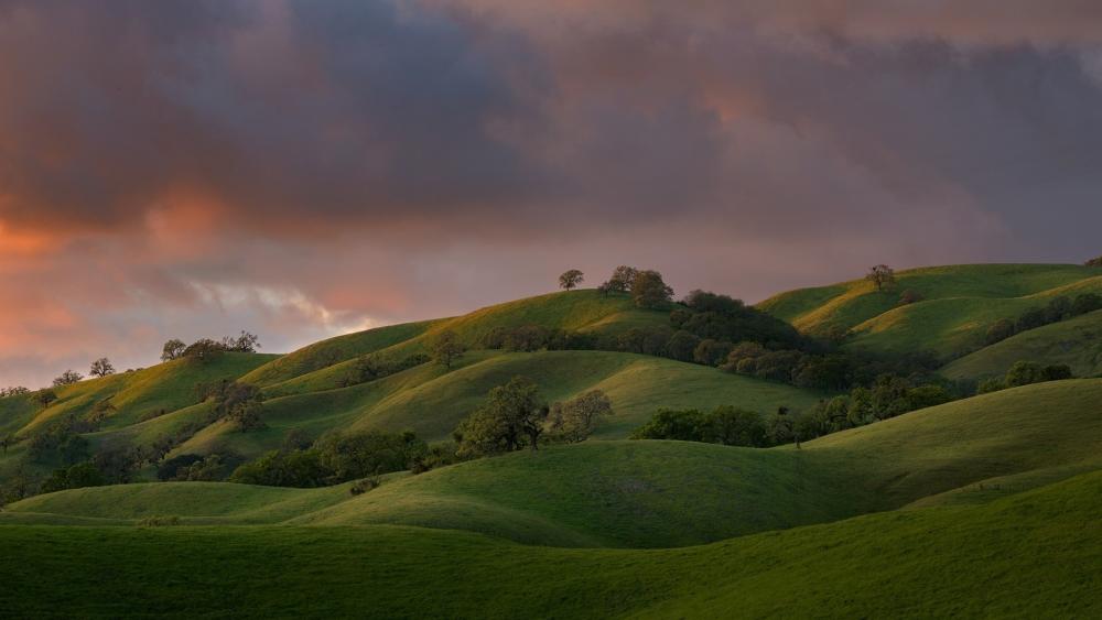 Rolling Hills at Dusk Under a Cloudy Sky wallpaper