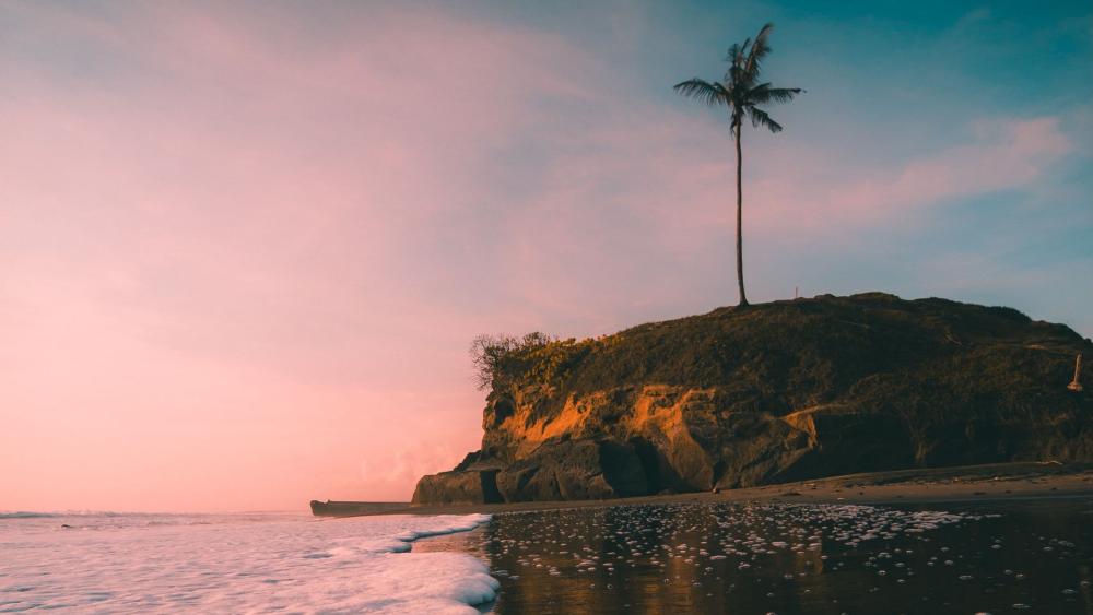 Serene Sunset by the Beach wallpaper