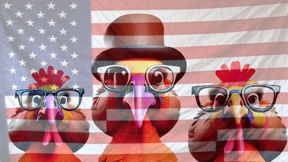Chickens in Disguise: A Patriotic Parade wallpaper