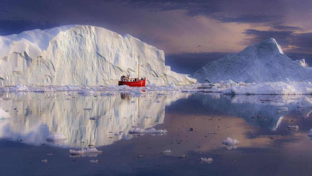 Arctic Tranquility Amidst Majestic Icebergs wallpaper