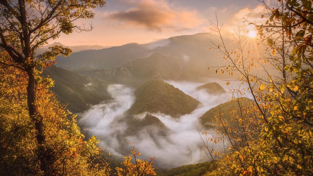 Breathtaking Autumn Sunrise Over Misty Mountains wallpaper