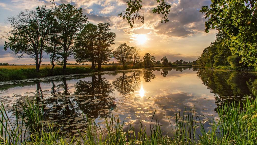 Serene Sunset Reflected on Tranquil Waters wallpaper