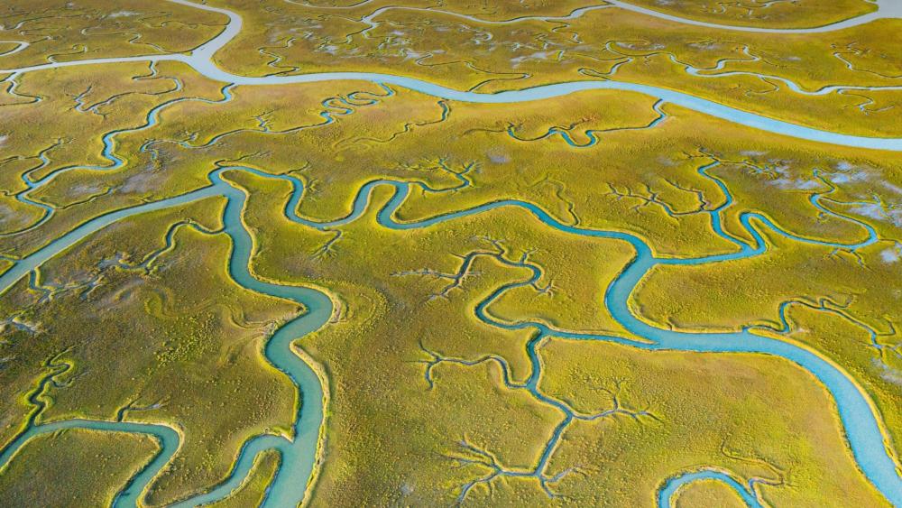 Winding Waterways and Lush Marshes Aerial View wallpaper