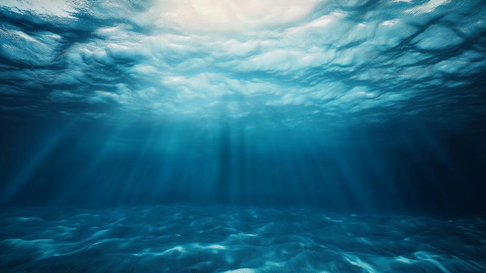 Underwater world wallpaper