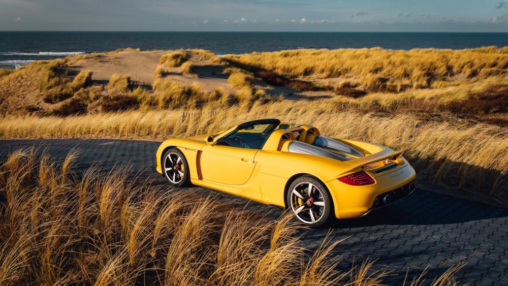 Dream Ride on Scenic Coastal Road wallpaper