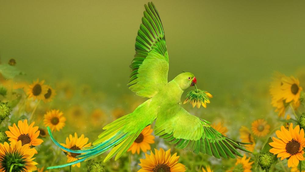 Vibrant Green Parrot Amidst Sunflowers In Bloom wallpaper