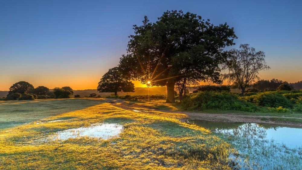 Sunset Serenity in Tranquil Landscape wallpaper